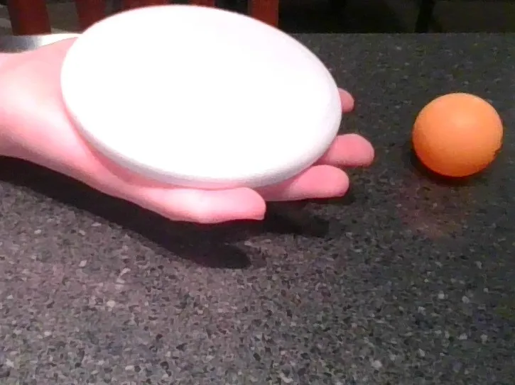 Frisbee