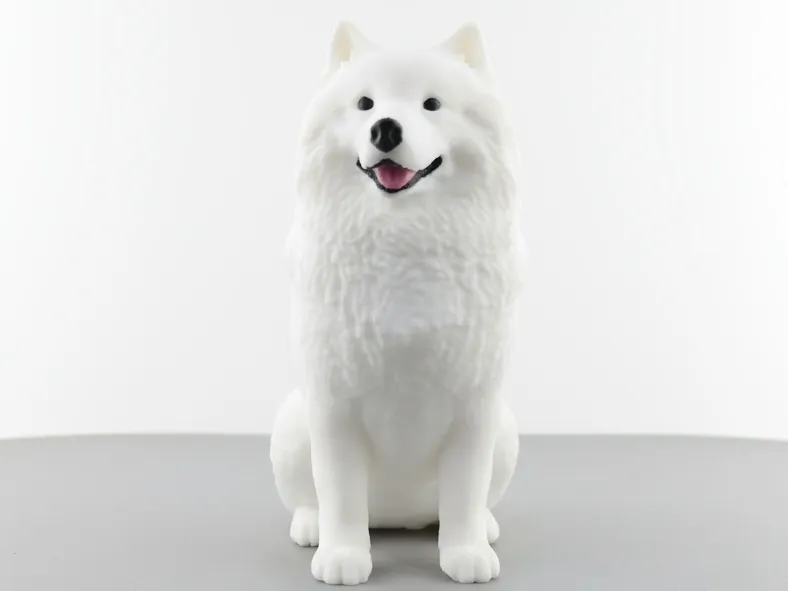 Samoyed Multicolor