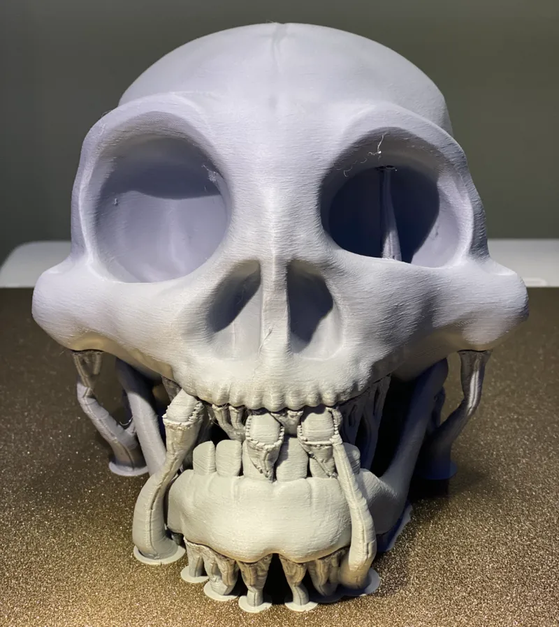 Pirate Skull by m4xrey