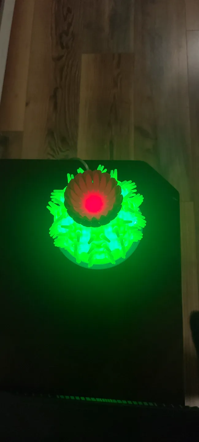 Light up Cactus Lamp