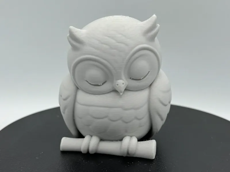 Sleeping Owl – Peaceful Perch Pose