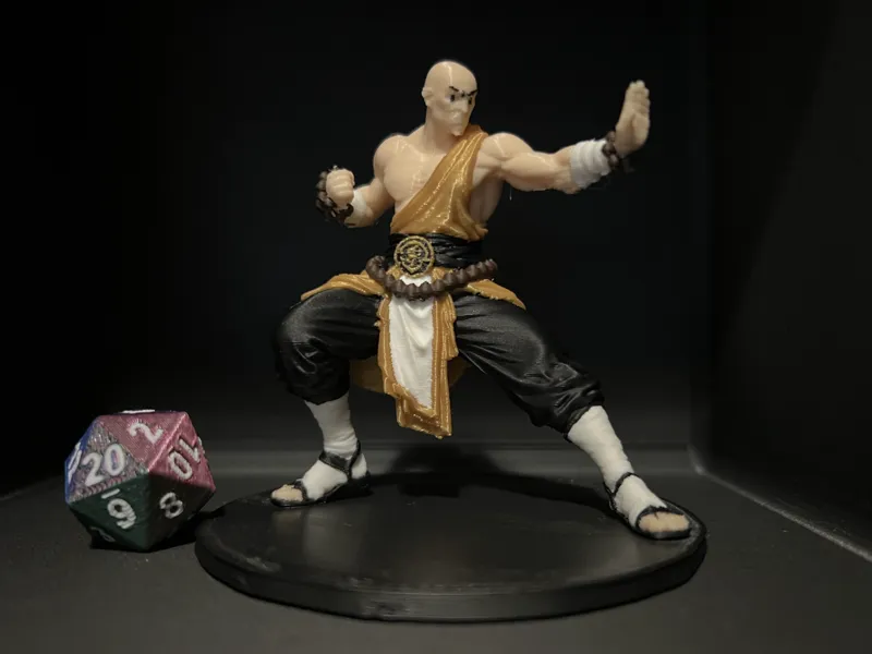 D&D-Monk (Mehrfarbig)