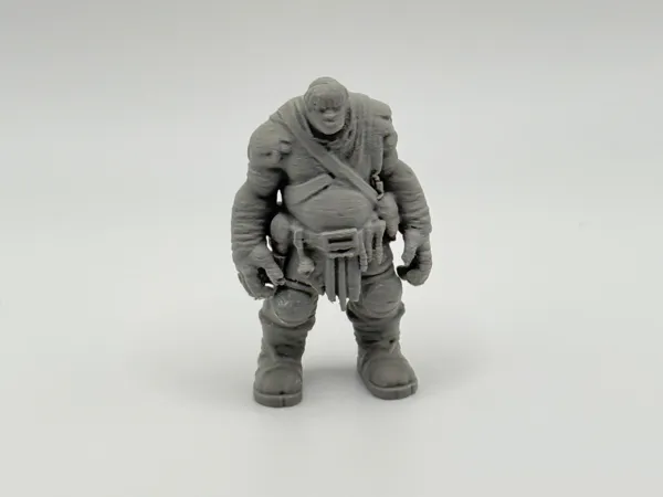 https://makerworld.bblmw.com/makerworld/model/USc6bccd63b24687/design/2025-04-03_2ecde0b4991d7.jpeg