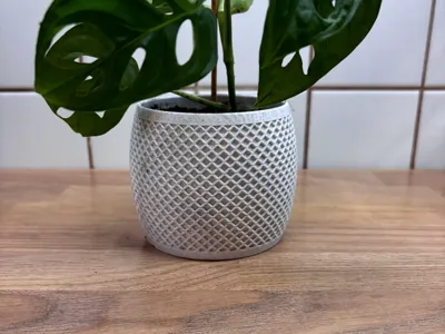 Double spiral modern planter