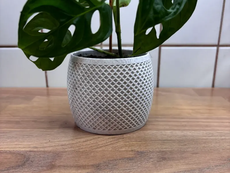 Double spiral modern planter