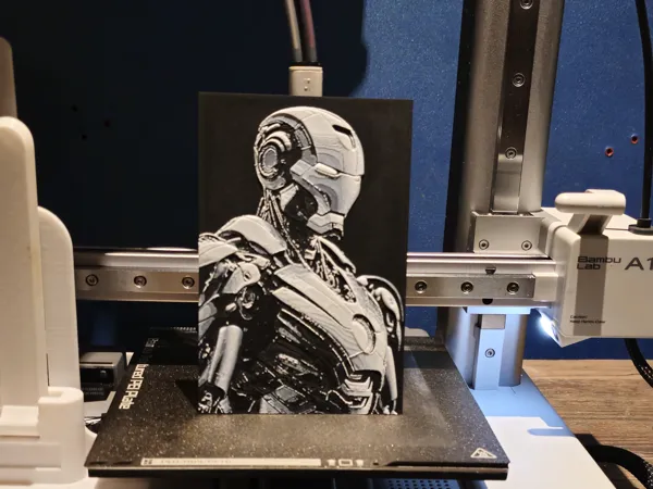 https://makerworld.bblmw.com/makerworld/model/USc6c024e75cef48/design/2024-08-09_95d3d7c61c94.jpg