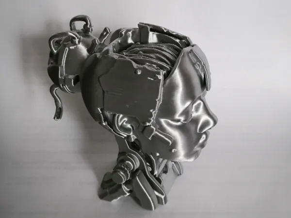 https://makerworld.bblmw.com/makerworld/model/USc6c0d224659f38/design/2025-03-13_2fa2968fc9b358.jpg