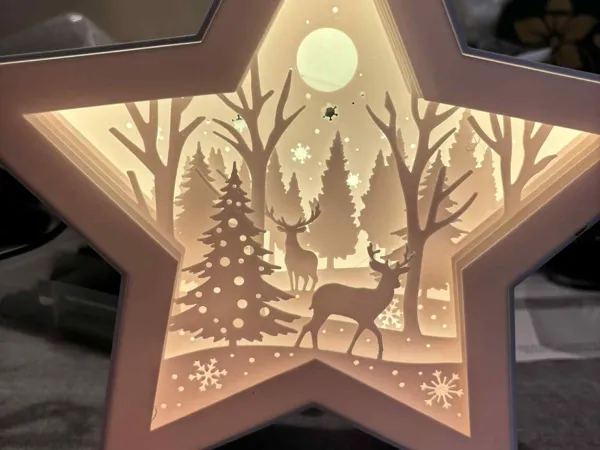 Étoile de Noël
