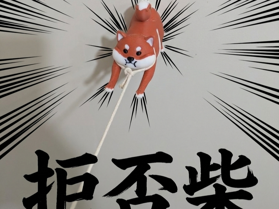 拒否柴マグネット