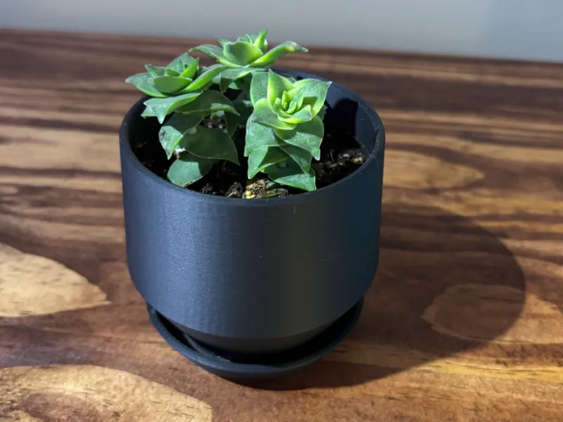 Simple 3in Plant Pot