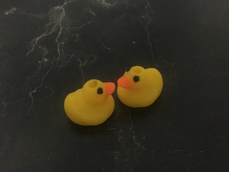 a cupule ducks hoodie drawstring