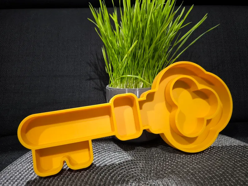 Spring key sensory tray