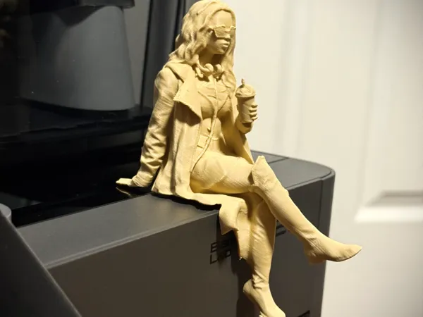https://makerworld.bblmw.com/makerworld/model/USc6d200c2912650/design/c05157823fa6dad1.jpeg