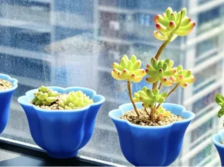 茶具之美绿植多肉小花盆  绿植培养皿