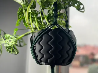 "Jellyfish" planter