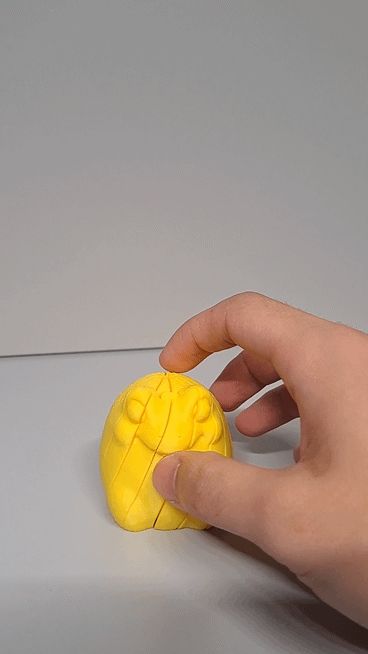 Frog Twist Fidget 