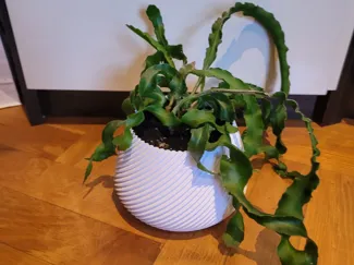Flowerpot