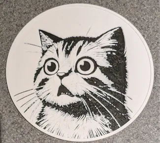 Shocked Cat Coaster