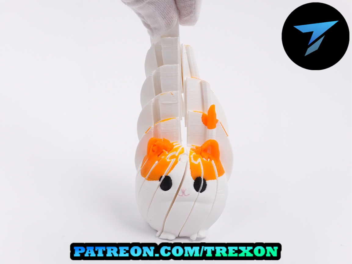 Cat Fidget Toy