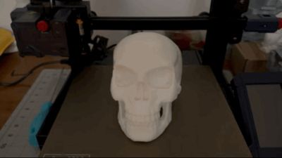 Skull with Light