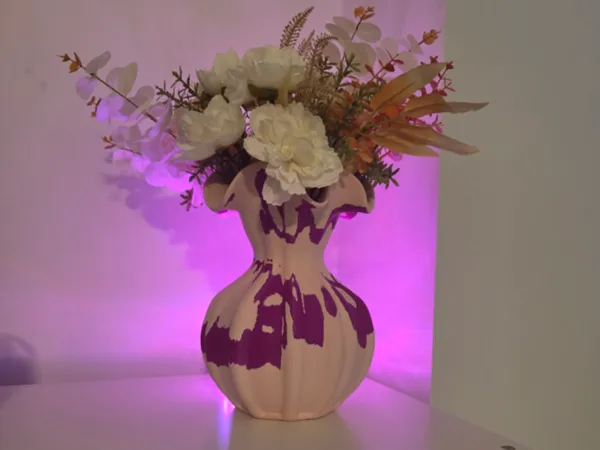 https://makerworld.bblmw.com/makerworld/model/USc6eaffd57b1357/design/2025-12-07_acbd3d40650e4.jpg
