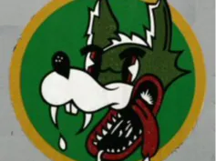 patch wolfhounds 32th Tactical Fighter Squadron