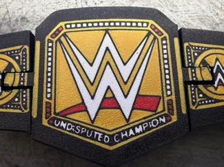 WWE WORLD TITLE BELT Fidget Toy