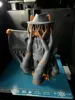 0.2mm layer, 2 walls, 7% infill