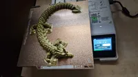 Dragon articulé — photo 4
