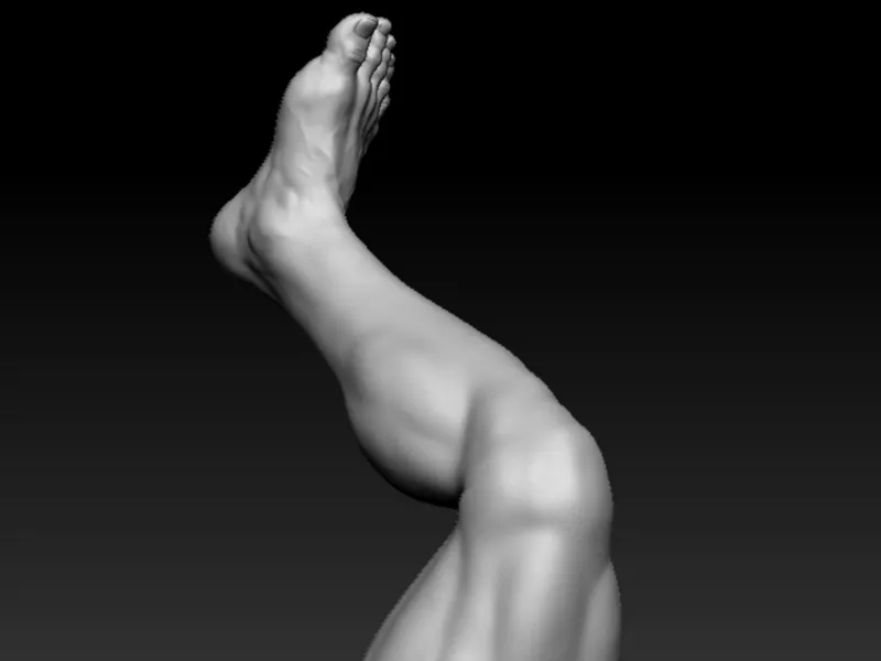R_leg