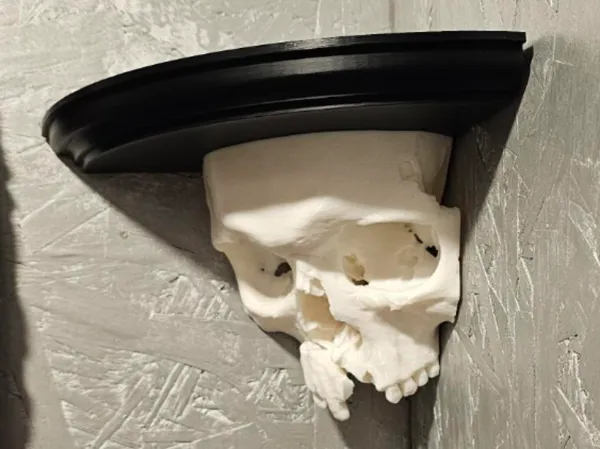 https://makerworld.bblmw.com/makerworld/model/USc704b5d5acfc65/design/2024-06-19_aaf63d47ee976.jpg
