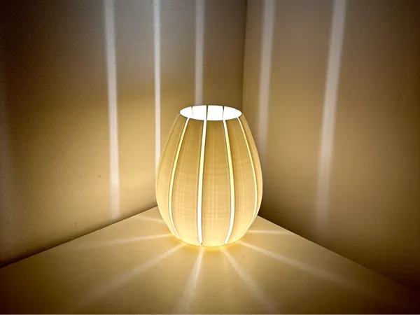 https://makerworld.bblmw.com/makerworld/model/USc708a1994d0906/design/2024-11-27_b264655bc7c26.jpg