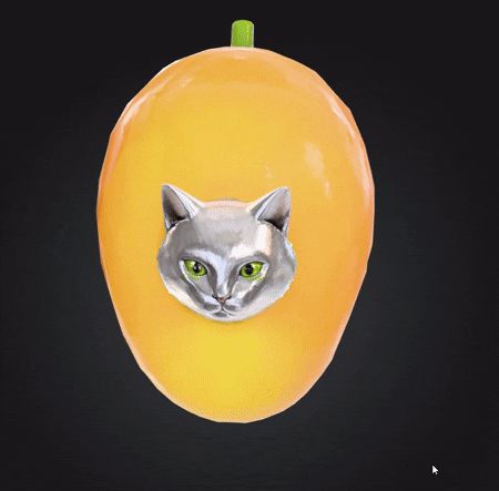 Mango Cat