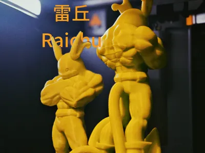 Pokemon Muscle Man-Raichu