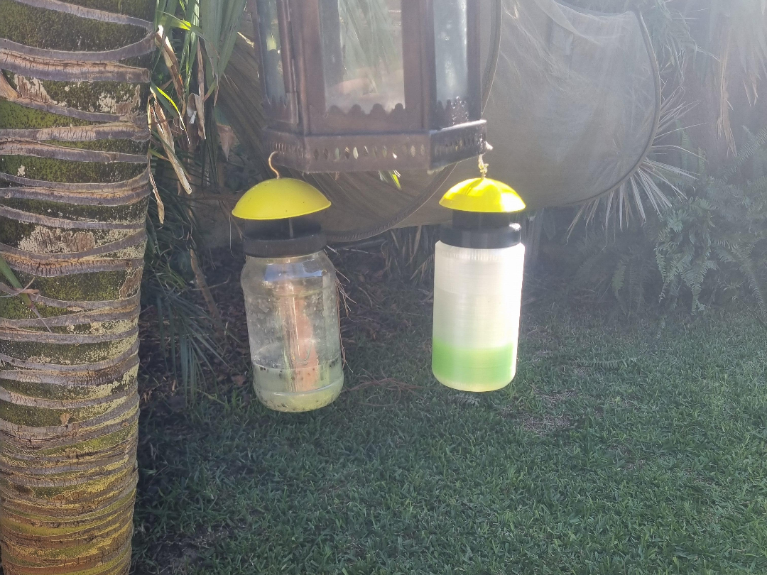 BUZZKILL - FLY TRAP - JAR AND LID WITH CAP