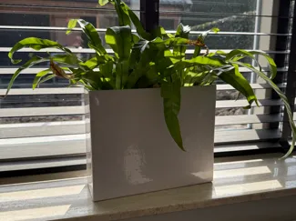 Square pot for narrow windowsill