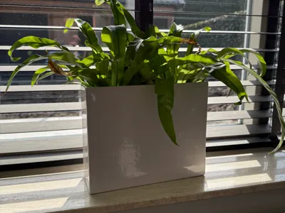 Square pot for narrow windowsill