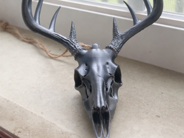 Realistic Deer Skull 3D Model
