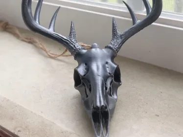 https://makerworld.bblmw.com/makerworld/model/USc71732391837ef/design/612d78777137573b.webp