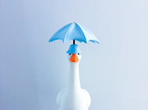 https://makerworld.bblmw.com/makerworld/model/USc717502c86ab3e/design/07dbdb42c35f34a5.jpg