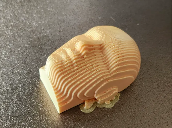 https://makerworld.bblmw.com/makerworld/model/USc71783e3ffeead/design/2025-02-21_c10d3a6bb4475.jpg