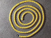 Long Grem - 123 body segments
