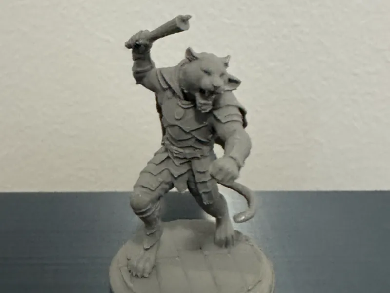 TTRPG Miniature: Tabaxi Brawler