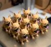 Frenchie_AMS