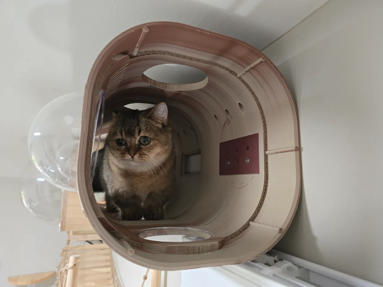 CAT DISTRIBUTION SYSTEM view 4