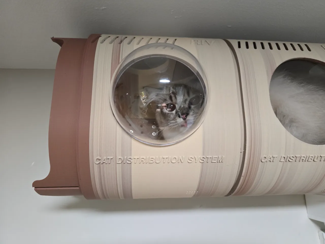 CAT DISTRIBUTION SYSTEM view 2