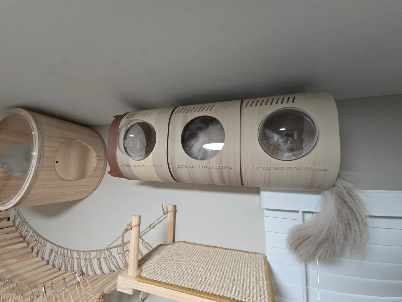 CAT DISTRIBUTION SYSTEM view 3