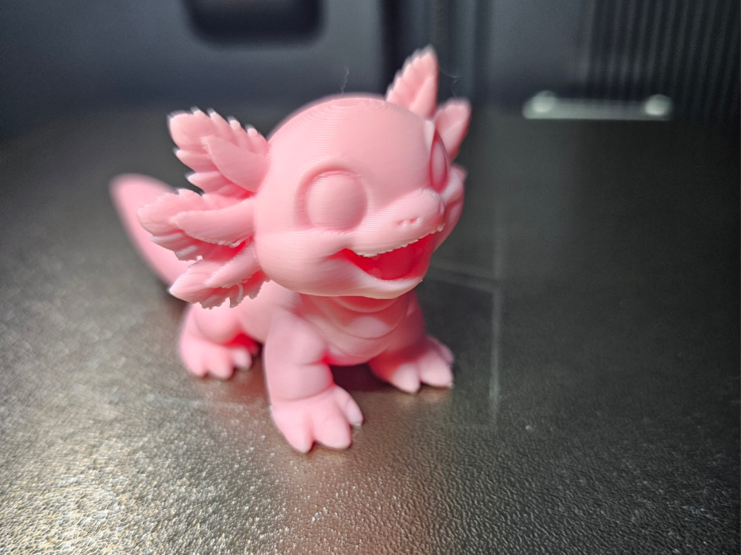 Axolotl Sweet Cartoon - Tiere aus aller Welt