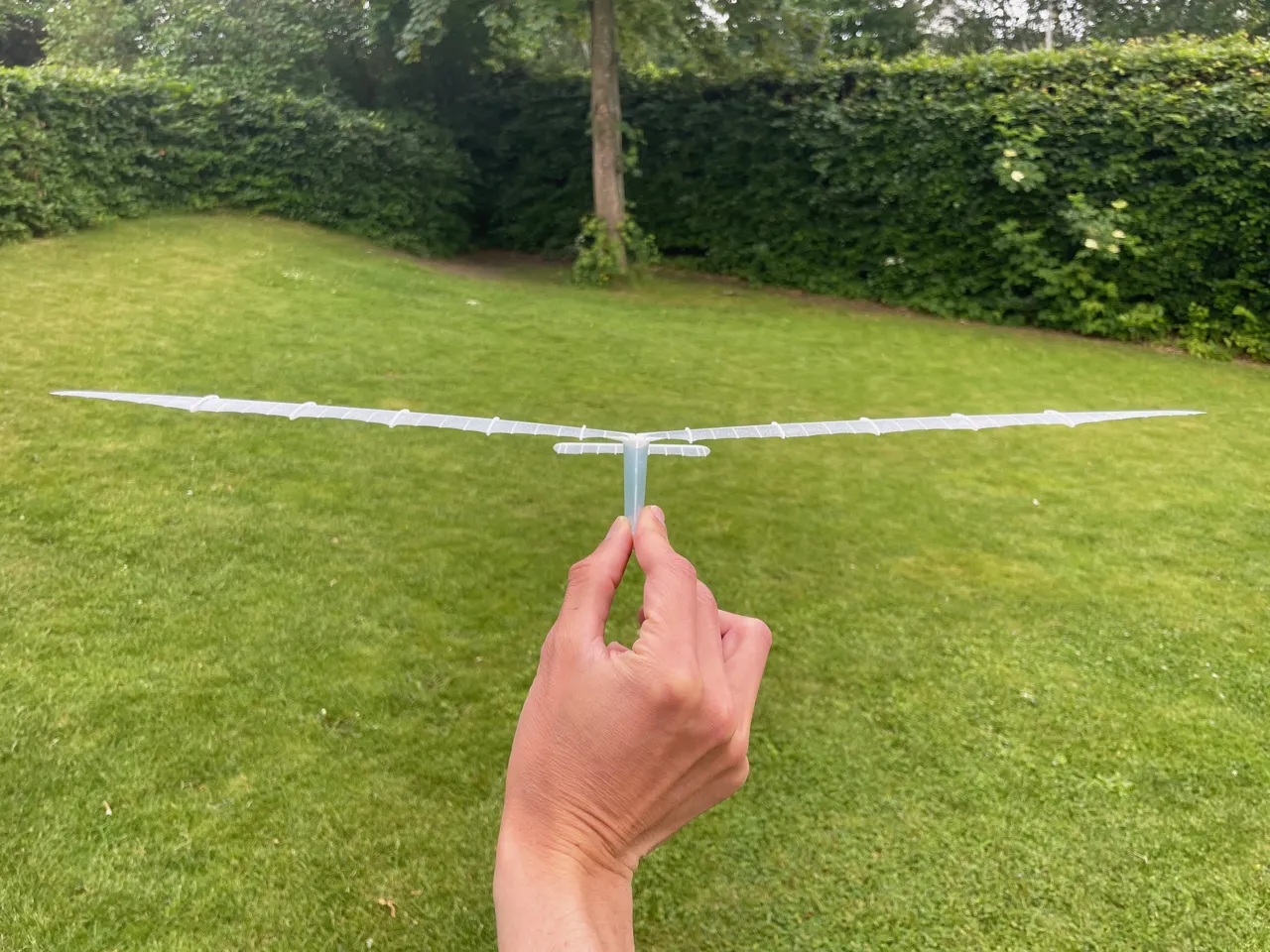 Gossamer Albatross | 500mm Ultralight Glider view 4