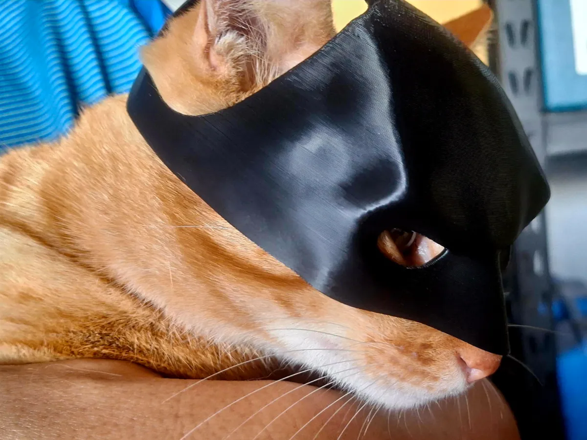 Masque de chat Batman - Modèle d'Impression 3D Gratuit - MakerWorld